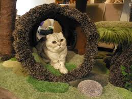 Items 1 to 12 of 96 total. Enchanted Cat Tree Pasteurinstituteindia Com