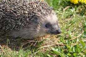 Dazu kommen diskos und partys. Hauptseite