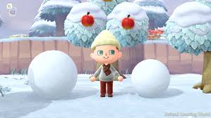 Animal Crossing: New Horizons Perfect Snowboy Guide And Diy Recipe List -  Polygon