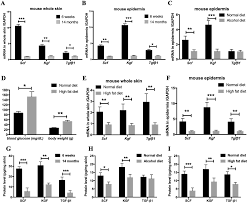 Skin Wound Closure Delay In Metabolic Syndrome Correlates With Scf Deficiency In Keratinocytes Scientific Reports