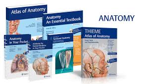 General anatomy and musculosceletal system. Thieme Medical Publishers Inc Anatomy And All Other Student Education Titles Are 25 Off This Week Http Bit Ly 2ndvneb Gilroy S Atlas Of Anatomy Third Edition And The Thieme Atlas Of Anatomy Series Are