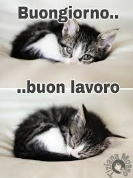 Buongiorno Link Divertenti Tiziana Mosso Page Facebook Buongiorno Divertenti Facebook Link M Buongiorno Divertente Buongiorno Buongiorno Immagini
