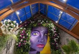 Street art and orchids paired in Tower Hill show