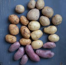 Non toutes les pommes de terre ne sont pas semblables ! Comment Conserver Les Pommes De Terre Plus Longtemps Elle A Table