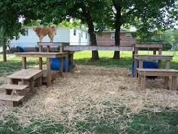 Agility Dogs Pensions Pour Chiens Parc A Chiot Chien