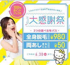 脱毛サロン ミュゼプラチナム musee platinum パンフレット デザイン ヨーカドー チラシ lp デザイン