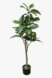 Queste piante prosperano all'aperto, così come all'interno, e trasformeranno qualsiasi spazio in un'oasi di benessere. Tropical Tree Artificial Plant Piante Finte Da Esterno Hd Png Download Kindpng