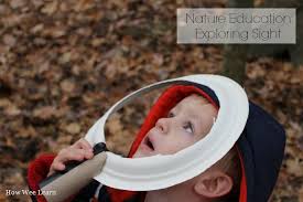 Exploring The Sense Of Sight Series The Five Senses Senses Preschool Senses Activities Kids Learning Activities