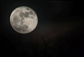 Allgemein einen schon angelegten rasen mähen und pflegen s.a. Gartnern Nach Dem Mondkalender Nachgeharkt