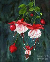 Hanging Fuchsia Watercolor By Jean A Chang Flower Art Painting Floral Painting Flower Painting