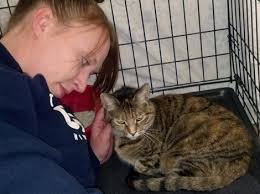 Photo: Kinship&#39;s Tracy Barton comforts a kitty wet from floods. - Sandy_10-2012_kinship-circle_intext_4
