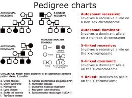 pedigree online charts collection