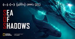 Sea of Shadows - Der Kampf um das Kokain des Meeres