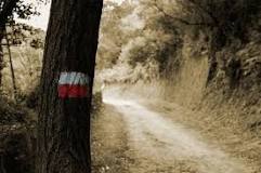 Resultado de imagen de senderos homologados navarra