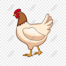 Kartun Unggas Kartun Ayam Petelur Png Kartun Unggas Kartun Ayam Petelur Gambar Kartun Unggas Kartun Ayam Petelur Grafik Gambar Ka Di 2020 Kartun Gambar Gambar Hewan