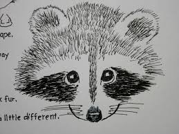 Raccoon Face Drawing Simple Raccoon Drawing Drawings Raccoon Drawing Art