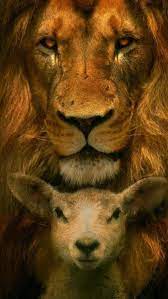 Maybe you would like to learn more about one of these? The Lion And The Lamb Lion And The Lamb The Lion Of Judah Lion And Lamb