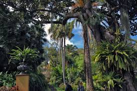 Botanischer garten maspalomas jetzt 11 bewertungen & 449 bilder beim testsieger holidaycheck entdecken und direkt hotels nahe botanischer garten maspalomas finden. Jardin De Aclimatacion De La Orotava Wikipedia