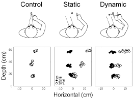 spatial coding of reach locations in depth top row