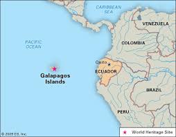 Many of the galápagos' islands are home to wild animals, so you should take precautions when exploring the region. Galapagos Islands Location Animals Facts Britannica