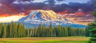 The area above cresent glacier is known as lunch counter and immediately below the suksdorf ridge. Mount Adams Recreation Area