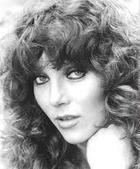 Verónica el rostro del amor: una novela, un romance y un final poco feliz