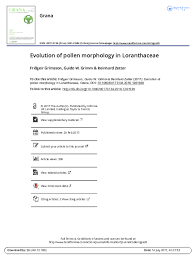 Image result for Englerina oedostemon