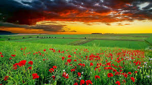 Pagalworld is popular platform to download latest bollywood mp3 songs, punjabi mp3 songs, new tamil songs, 2019, 2020 hot songs in mp3 & mp4 video hd, telugu songs, kannada songs, malayalam songs that you can download for free. Pagalworld Wallpapers Wallpaper Cave