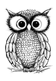 Cute Love The Big Eyes Owls Drawing Owl Illustration Drawings