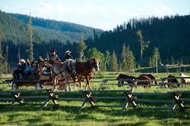 If you're looking for a trip west for your next vacation, you have found it at black mountain ranch! Everything You Need To Know About A Dude Ranch Vacation