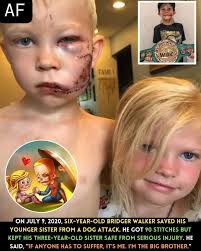 On July 9, 2020, in Wyoming, six-year-old Bridger Walker showed incredible  bravery and became a hero when he stepped in to protect his younger sister  during a perilous dog attack. While they