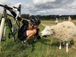 A Beginner's Guide to an outdoor Bike Trip