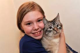 Relieved cat owners thank firefighters for saving foolish feline stuck up  tree for two days