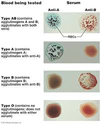 Pin By Sarah Davenport On Laboratorio Medical Technology Medical Laboratory Technician Medical Laboratory