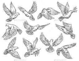 Sketch Birds Flying In The Sky Drawing Pigeon Flying With Olive Branch Vector Sketch Dove Tattoos Pigeon Tattoo Dove Drawing