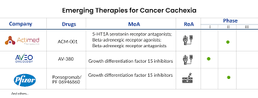 Image result for Cachexia in Cancer