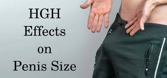 cure erectile dysfunction