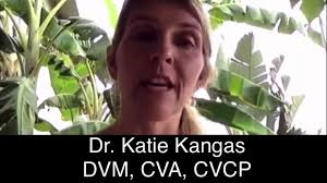 What Do Health Professionals Say