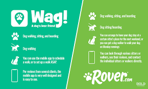 Which dog walking job apps have you tried already? Dog Sitting App Giants Rover And Wag Receive Over 600 Million To Sit Dogs