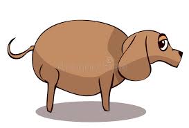 Created by icelandicorangutana community for 5 years. Fat Dog Cartoon Stock Illustrations 3 452 Fat Dog Cartoon Stock Illustrations Vectors Clipart Dreamstime