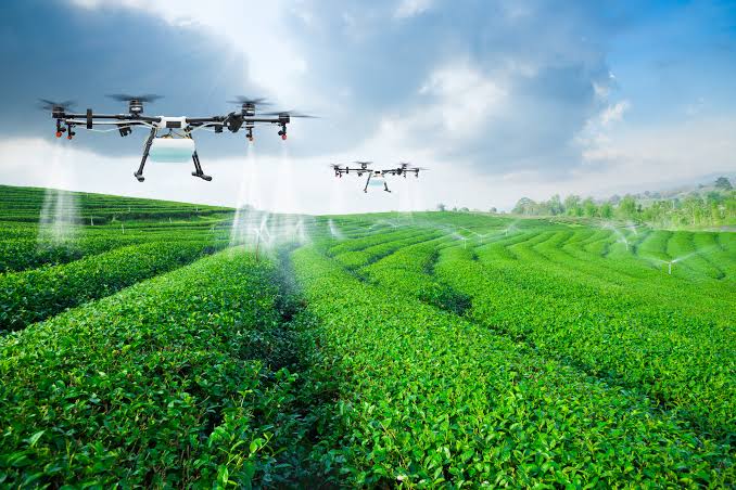 Ethical data use and sustainability in AI-based agriculture insurance