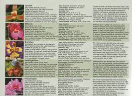 Orchid Growing Guide Stefan Mager New Laminated Chart