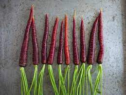 We did not find results for: Kaali Gajar Benefits Do You Know About These Benefits Of Eating Kaali Gajar