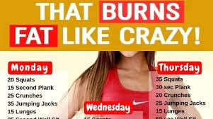 Best Workout Routine For Everyone Best Workout Routine At Home Workout Plan Workout Plan