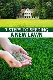 7 Steps To Seeding A New Lawn Shtfpreparedness Planting Grass Seeding Lawn Planting Grass Seed