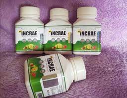 While increasing your calorie intake would be a lot easier if you just ate fast food every meal, your health would suffer. Incrae Weight Gain Supplement Health Beauty Perfumes Nail Care Others On Carousell