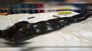 BoundHub - Girl full mummified