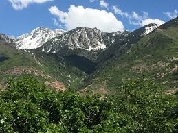 Road reports, ski reports, webcams & more. Kid Friendly Hikes In Utah Planning Away