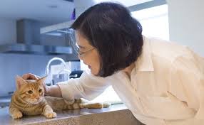 See how this beautiful cat understood the language of pure love and took the three abandoned babies to her heart. New Zealand S First Cat And Other Political Pets Bbc News