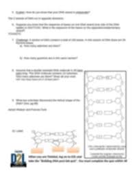 Building dna answer key vocabulary: Building Dna Gizmo Worksheet Answers Building Dna Gizmo Answer Key Student Exploration Sheet But Don T Simply Focusing On Decoration That You Must Keep Its Function Dariodeviaje